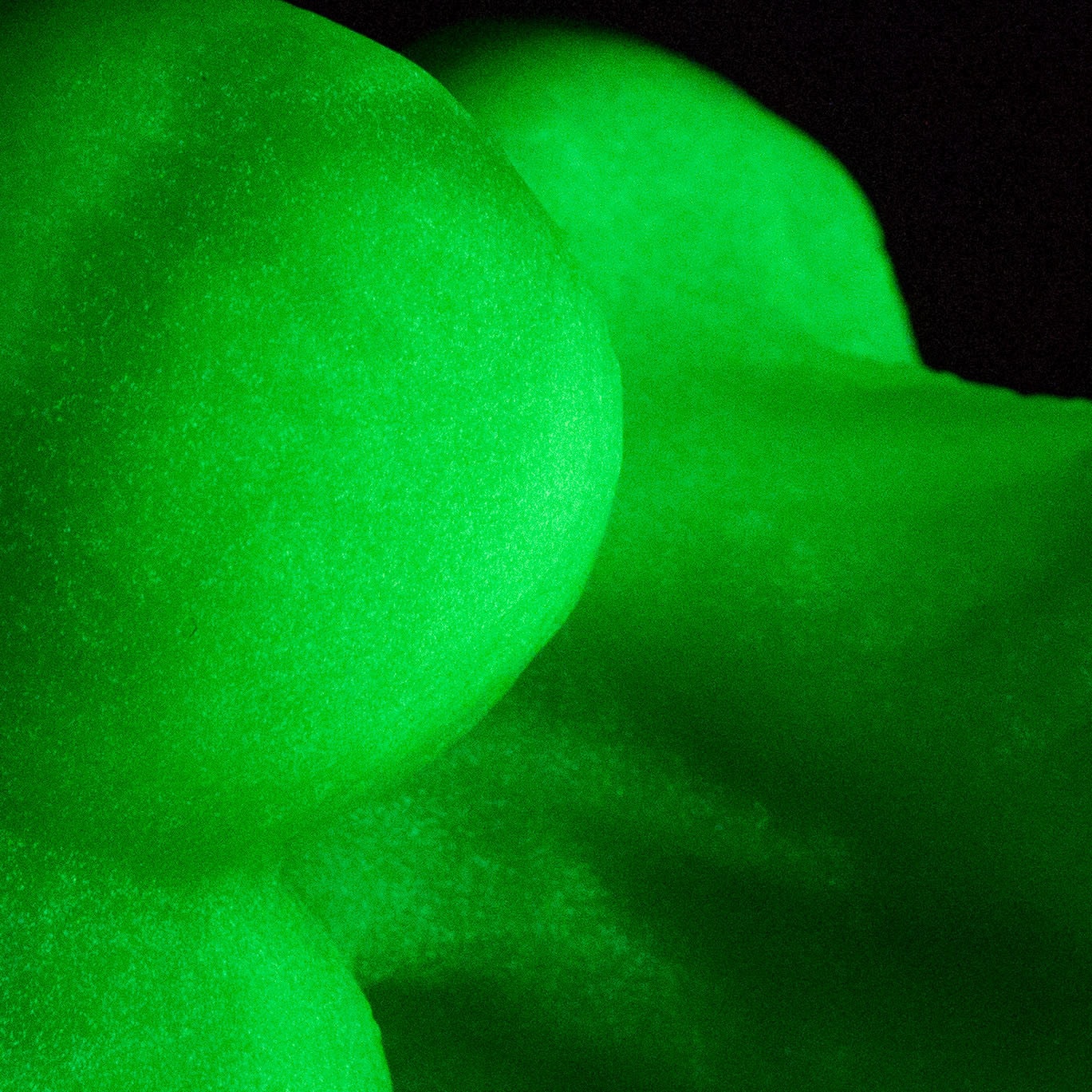 Add-on: Glow-in-the-dark