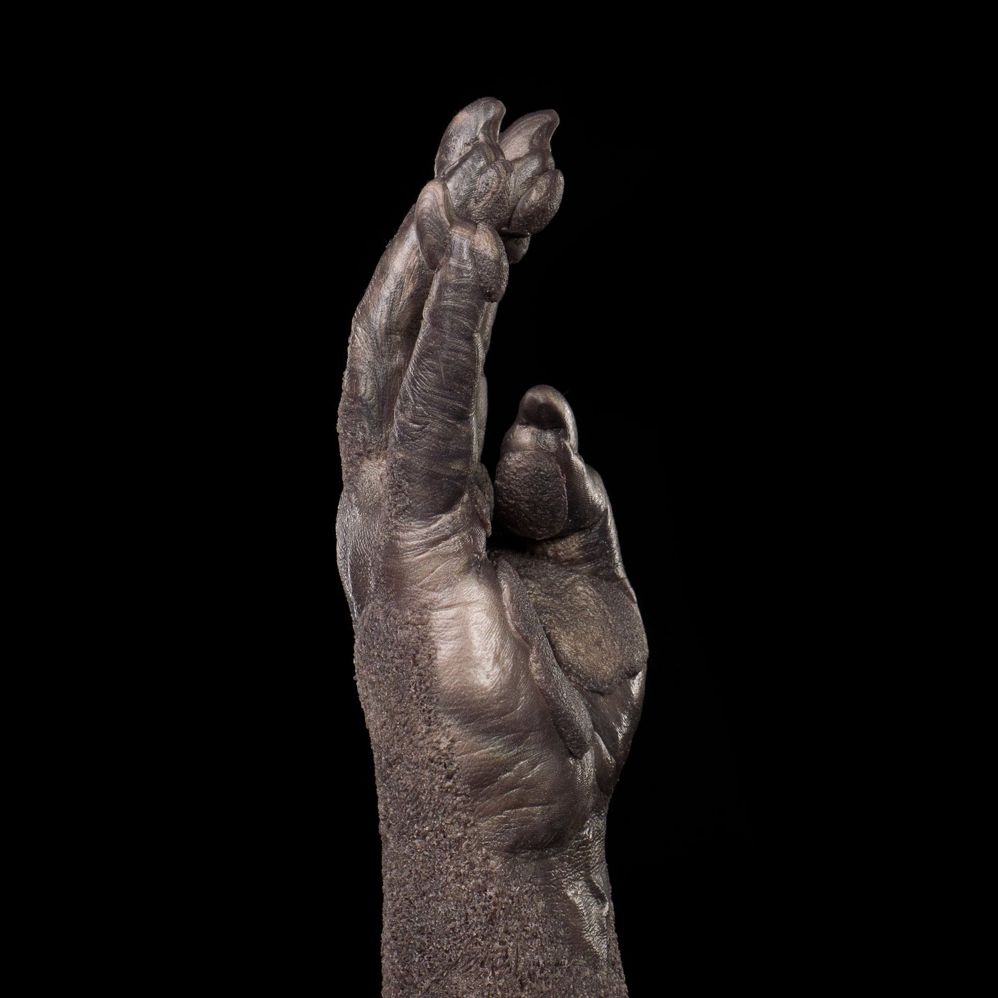 Wolfman Joe's Fist - Werewolf Fist Dildo / Fisting Butt Plug