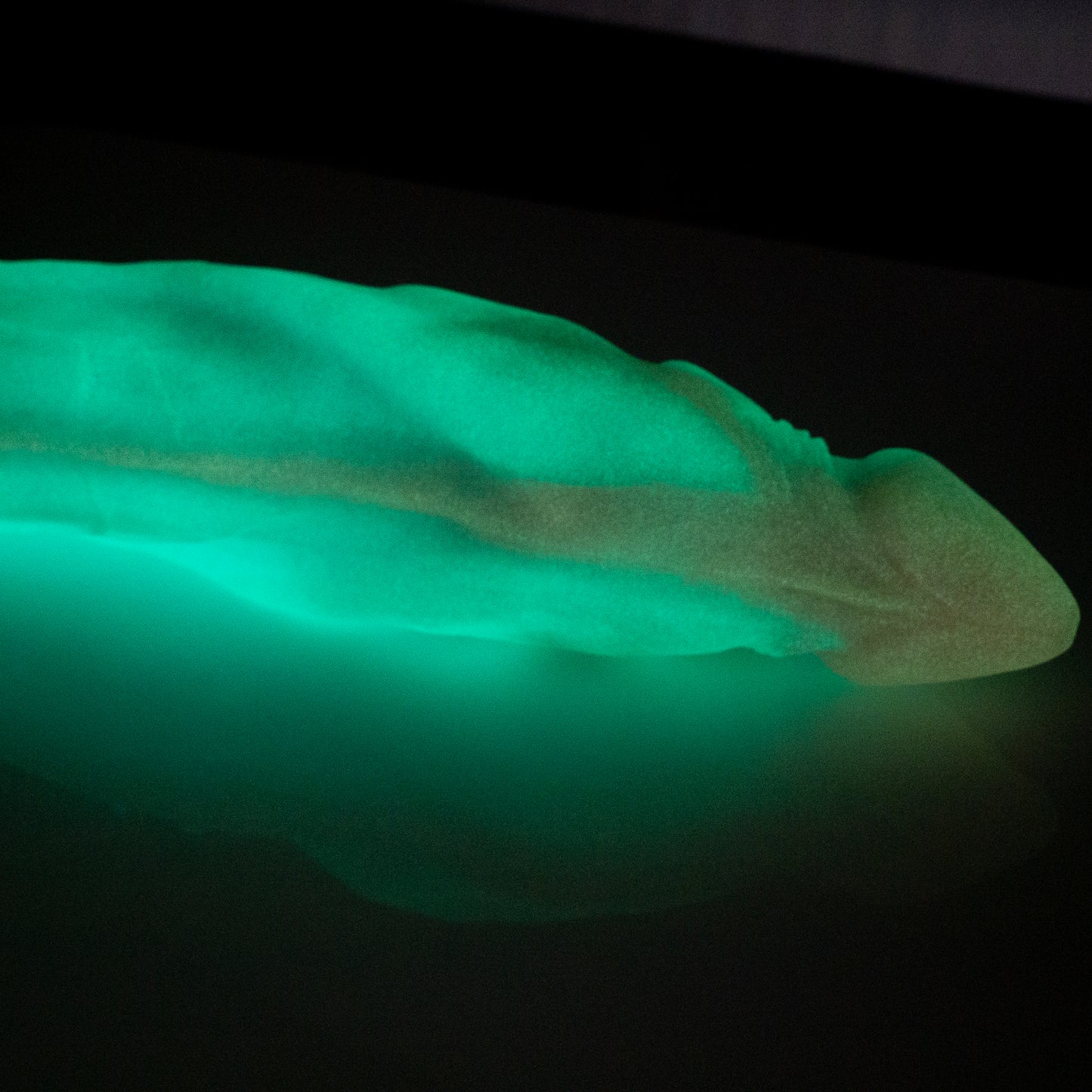 MISFIT Keven the Amphibi-Man 4XL / Medium Firm / Glow-in-the-Dark